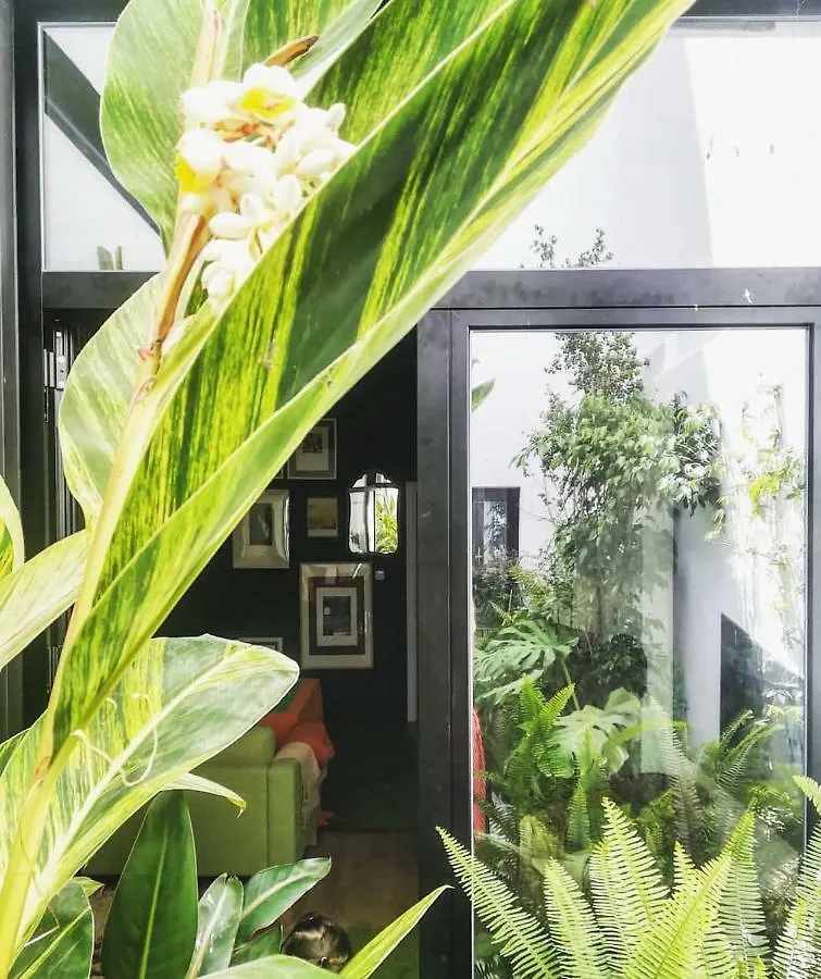 Arte Y Descanso En Sevilla Holiday home